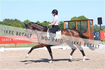 181449_bc_01R62_5999.JPG