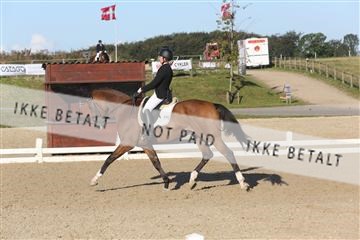 148862_sg_01_IMG_2611.JPG