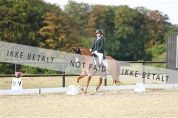 181894_mtp_04_R62_3255.JPG