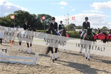 148862_sg_02_IMG_4180.JPG