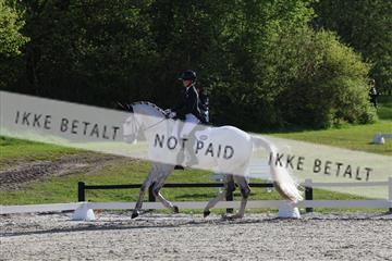 179330_avh_01_5000.JPG
