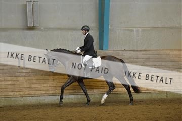 144288_abo_01__AB21996.JPG