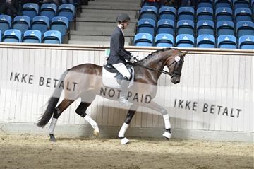 160111_nn_01__ESK2194.JPG