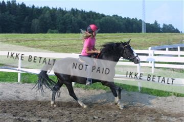 110-1024_IMG.JPG