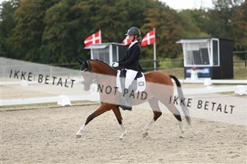 181894_mtp_03_R62_2890.JPG