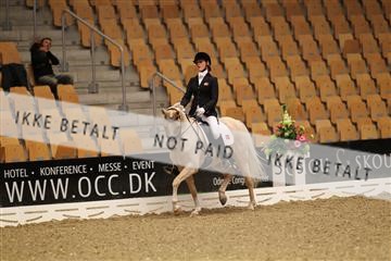 126407_abo_01_IMG_1300.JPG