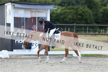 181894_mtp_05_R62_5043.JPG