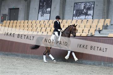181852_mtp_02_R62_1825.JPG