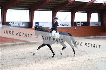 175442_kbb_01_R6II0142.JPG