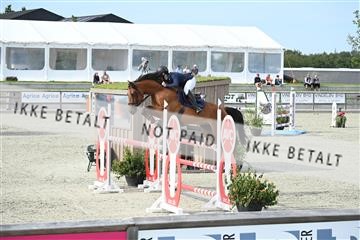 175268_akl_01_Z6D_9363.JPG