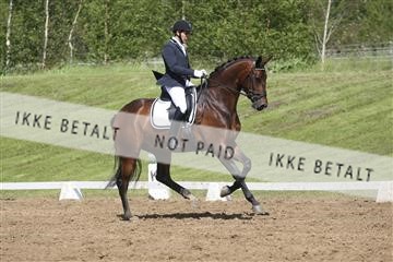 147698_nn_01_IMG_0028.JPG