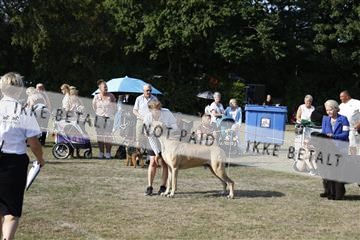 181848_kar_01__62_2733.JPG