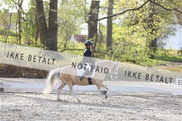 174512_mtp_01_3M5A7021.JPG
