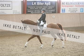 173782_mtp_01_3M5A7049.JPG
