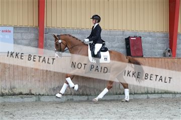 181867_mtp_01_R62_4192.JPG