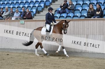 160111_nn_01__ESK1302.JPG
