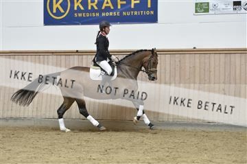 160111_nn_01__ESK1666.JPG