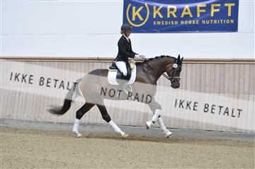 160111_nn_01__ESK1744.JPG