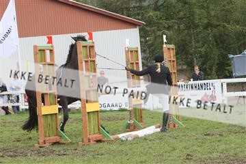 5925_ma_05_IMG_0721.JPG