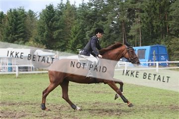 5925_ma_05_IMG_0609.JPG