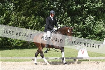 135518_ms_02_IMG_2837.JPG