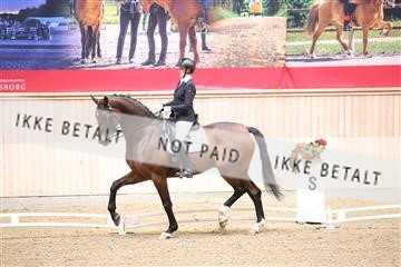 174186_kbb_01_R6II4468.JPG