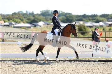 181894_mtp_02_R62_1837.JPG