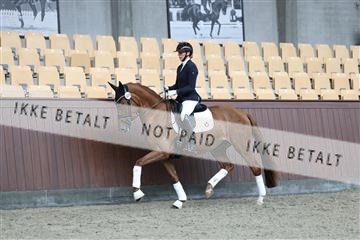 181852_mtp_01_R62_1449.JPG