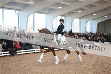 179022_kbb_01_R6II2544.JPG