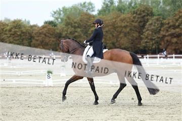 181923_mtp_04_R62_8887.JPG