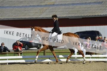 136195_abo_01__AB16467.JPG