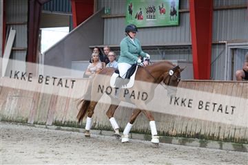 181867_mtp_01_R62_3828.JPG
