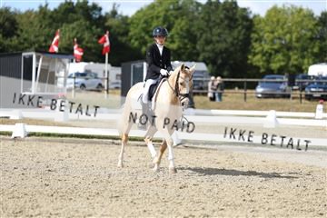181894_mtp_05_R62_4587.JPG