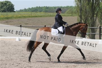 135086_sg_01_IMG_0416.JPG