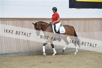 160111_nn_01__ESK1326.JPG