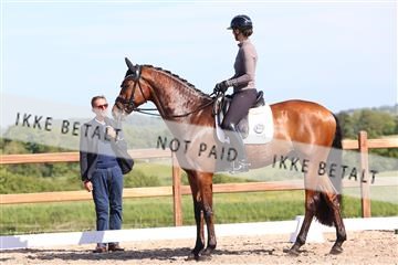 181449_bc_01R62_6113.JPG