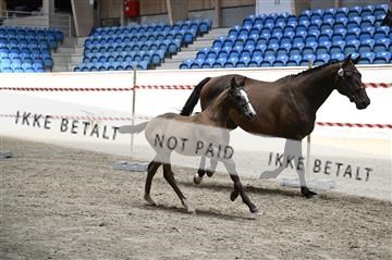181754_kbb_01_Z092797.JPG