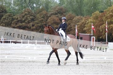 181923_mtp_01_R62_6274.JPG