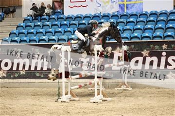 175934_avh_02_7286.JPG