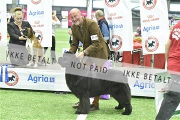 163793_bkn_01__BKN8900.JPG