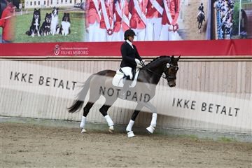 181887_mtp_02_R62_7565.JPG