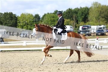 181894_mtp_05_R62_4541.JPG