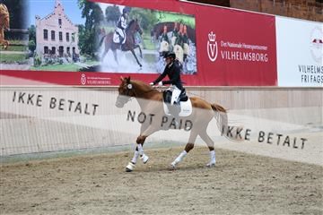 181887_mtp_05_R62_9940.JPG