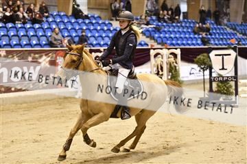 161006_abo_01__D052058.JPG