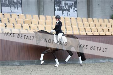 181852_mtp_02_R62_1649.JPG