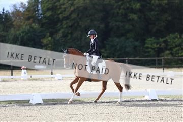 181894_mtp_01_R62_0185.JPG