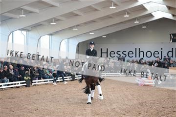 179022_kbb_01_R6II2435.JPG