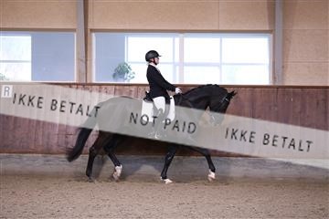 173821_mtp_01_3M5A8450.JPG