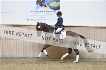 160111_nn_01__ESK2010.JPG