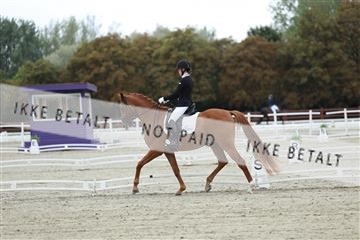 181923_mtp_02_R62_7063.JPG